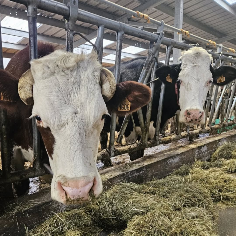 Anne Frackowiak-Jacobs, nouvelle préfète à la rencontre du monde agricole