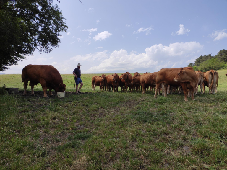 Les rencontres à tables