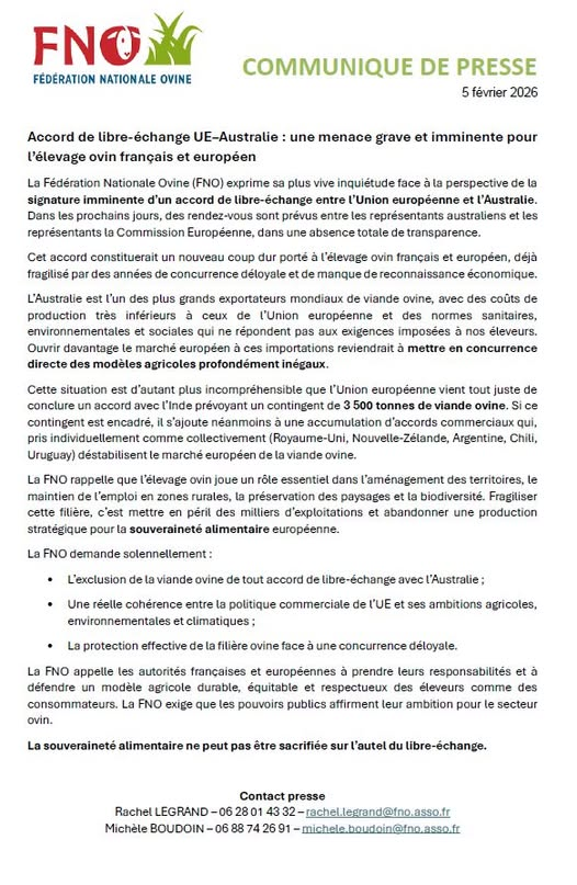La FNO alerte : « Accord de libre-échange UE–Australie : une menace pour l’élevage ovin français et européen »